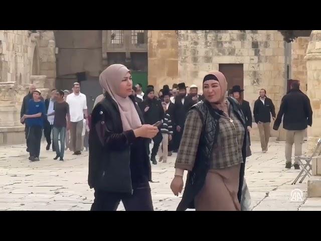  A group of illegal Israeli settlers stormed the Al-Aqsa Mosque complex in occupied East Jerusalem