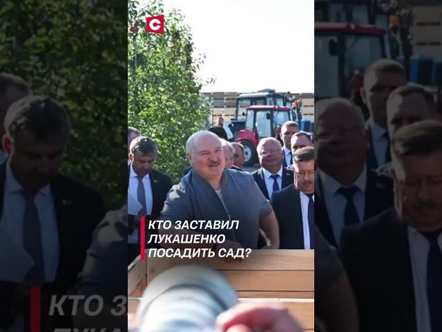 Кто заставил Лукашенко посадить сад? #лукашенко #новости #политика #беларусь #фермы #shorts