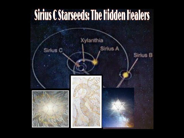 Sirius C Starseeds: The Hidden Healers