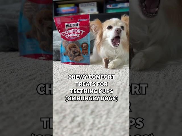 Chewy Comfort Treats For Teething Puppies Milk Bone Comfort Chews