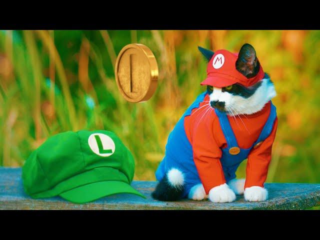 Super Mario CAT Bros!