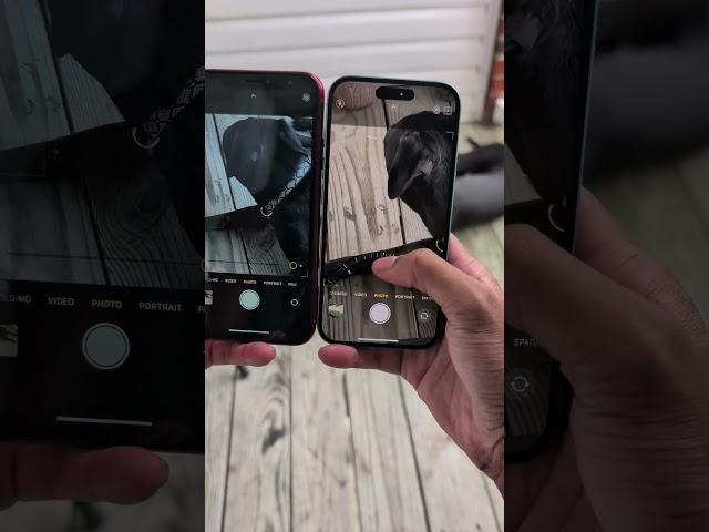 iPhone XR VS IPHONE 16 Camera Zoom Test 