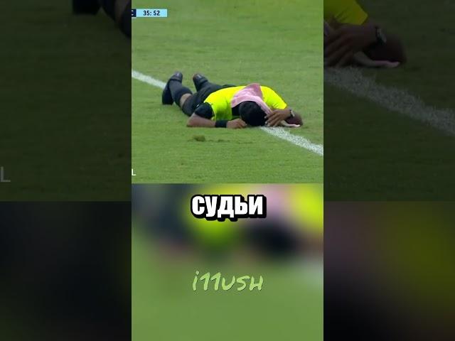 Пчелы против футбола