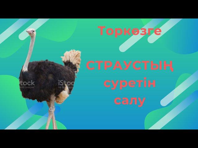 Как нарисовать СТРАУСА( Страустың сурет)