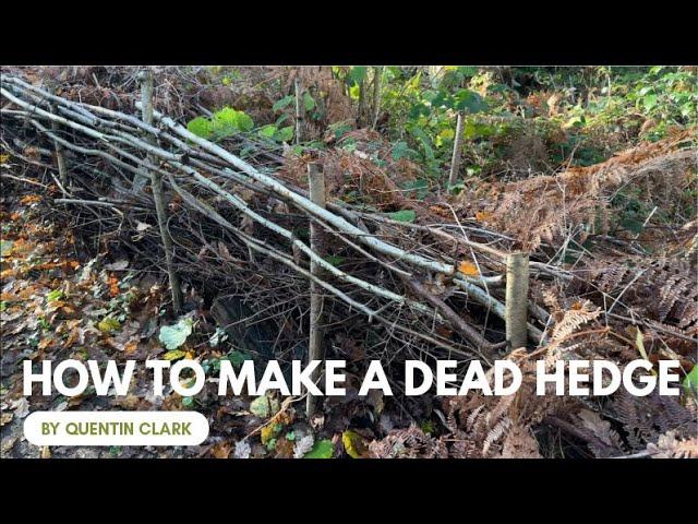 How to Make a Dead Hedge