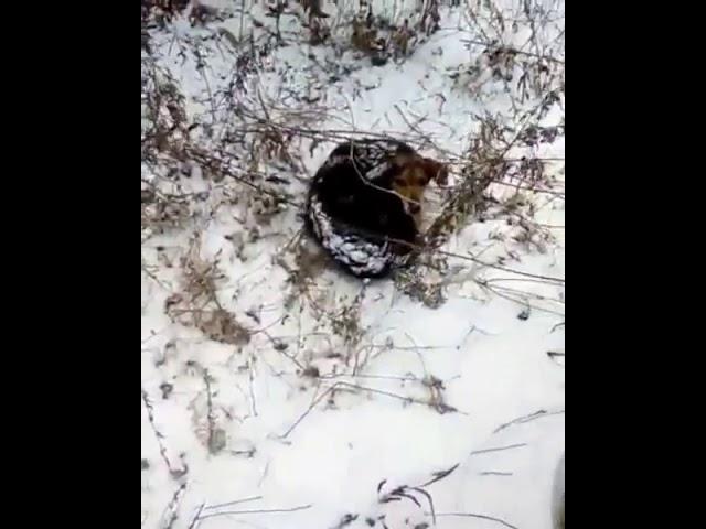 Поступок парня из Владивостока растрогал все Приморье 3