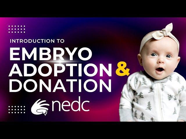 Embryo Adoption & Embryo Donation 101