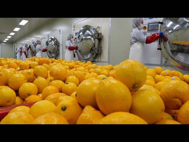 Process of Drying Whole Lemons Using Microwave Technology. Korean Lemon Powder Sticks