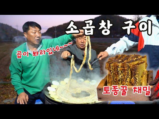 [시골먹방] 토종꿀 채밀하고 솥뚜껑 한가득 입안 가득 고소한 소곱창 구이 먹방 [Grilled Beef Tripe] MUKBANG/EATING SHOW