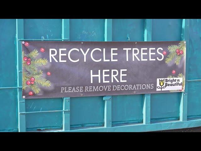 Billings area nonprofit keeps circle of life going with annual Christmas tree recycling