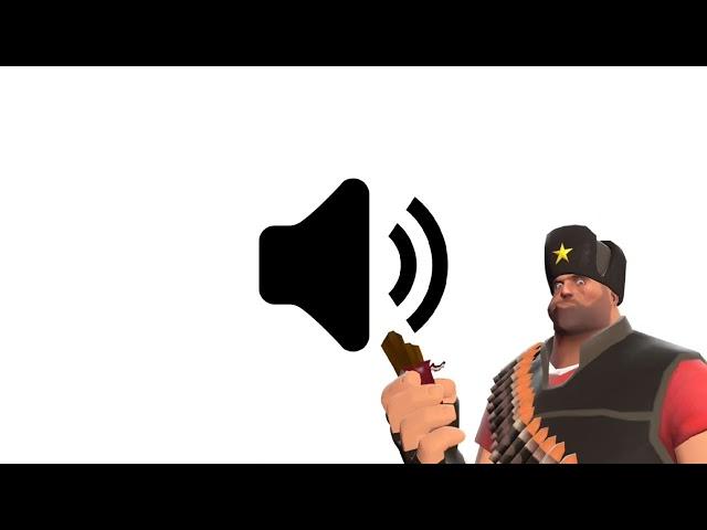 " You are STUPID! Not big surprise." -Heavy Voice Lines