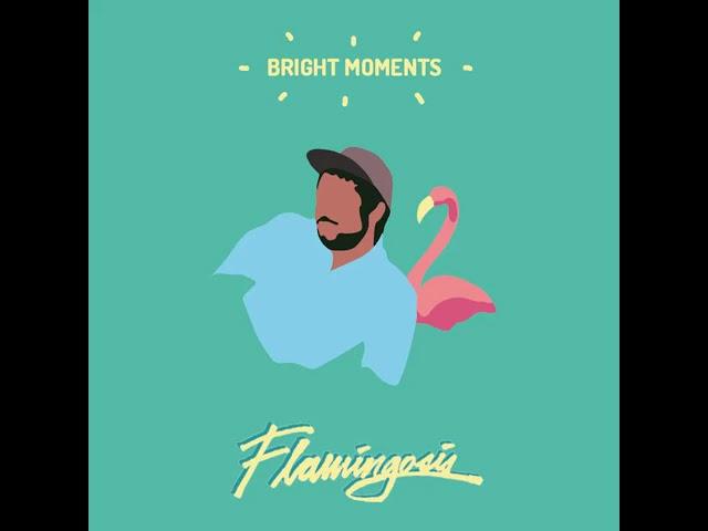 Flamingosis – Feelings Of Sentimentality Due To Getting Curved