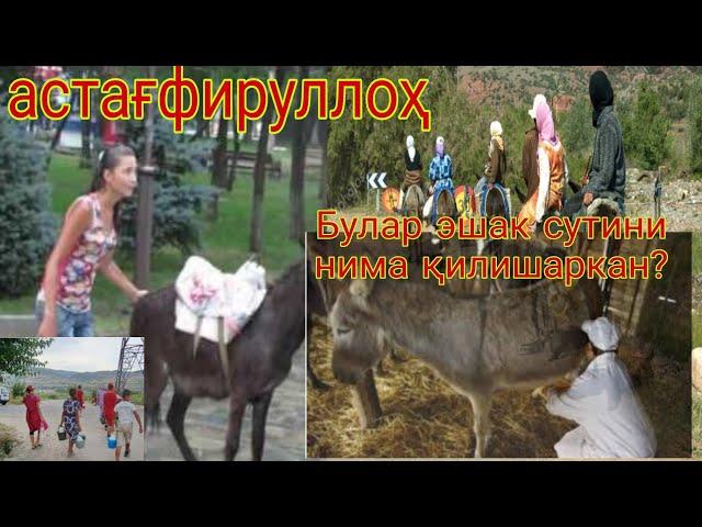 ДАХШАТ ТЕЗДА  КУРИНГ  #эшак сутини  каронавирус давоми нима қилишаркан? Қозоғистонда олинган видео