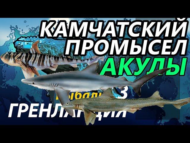 Камчатский промысел Акулы / РР3 [ Русская рыбалка 3.9 Гренландия]