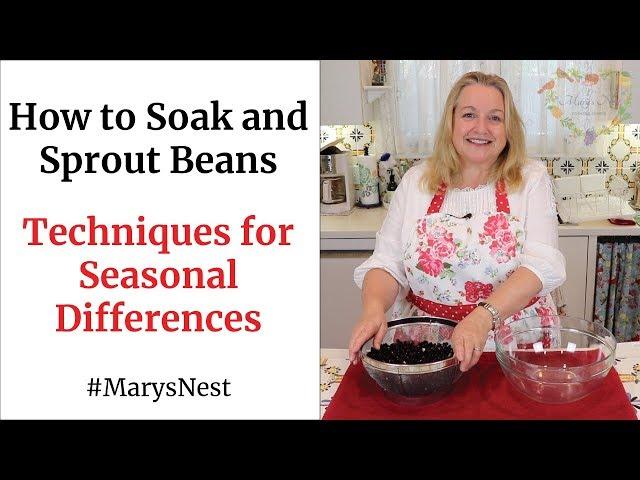 How to Soak and Sprout Beans