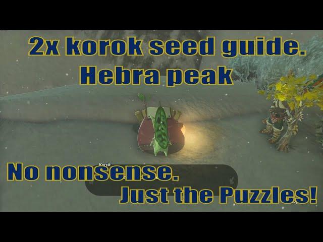 How to get 2x korok seed to partner - Hebra peak guide | Zelda TOTK