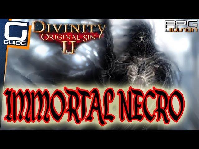 DIVINITY ORIGINAL SIN  2 - IMMORTAL NECROMANCER BUILD