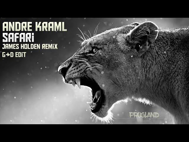 ANDRE KRAML - SAFARI (JAMES HOLDEN REMIX) (TECHNOLAND) (HQ AUDIO)