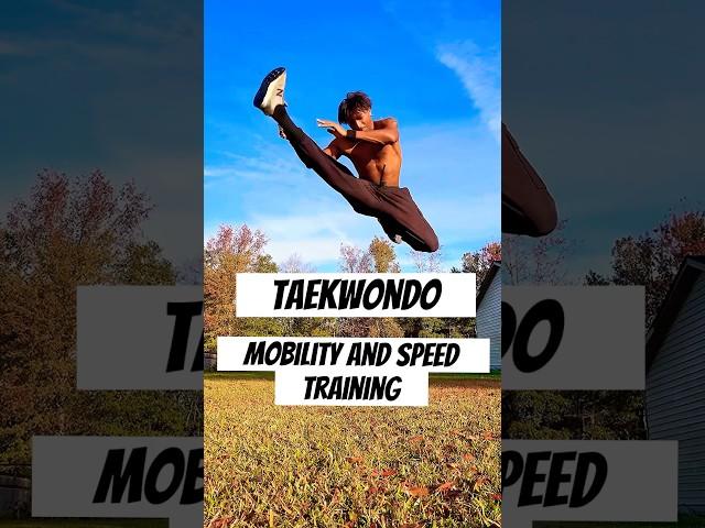 Taekwondo Training For Mobility and Speed! #taekwondo #shorts