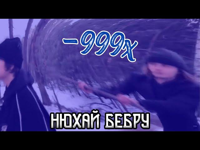 НЮХАЙ БЕБРУ (в слоумо)