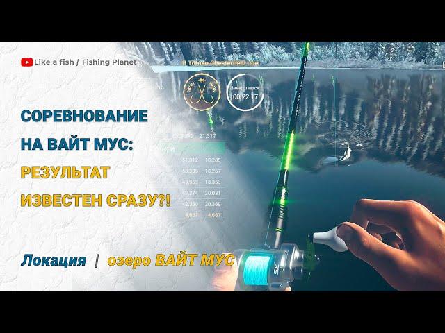 Fishing Planet - Проблемы Командных Соревнований (озеро Вайт Мус)