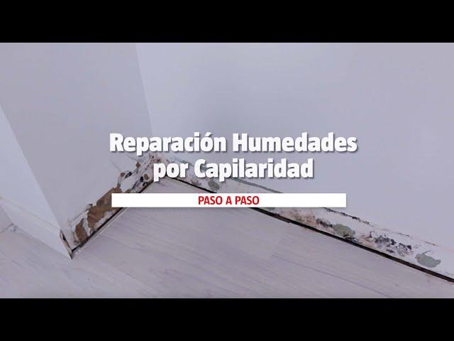 Cómo reparar humedades por capilaridad | BAUHAUS