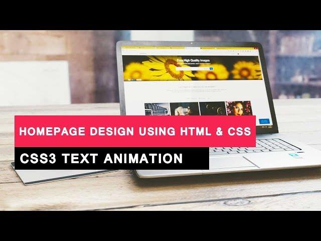 Homepage design using html and css | CSS3 Text Animation | Divinector