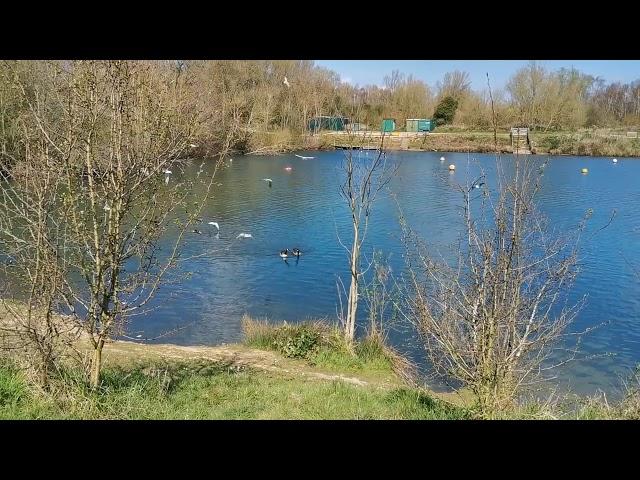 Leybourne Lakes