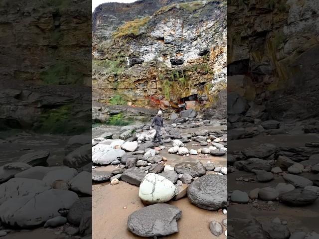 Here is a GOLDEN rock that we found!  We opened the nodule up with our HUGE hammer! ‍️