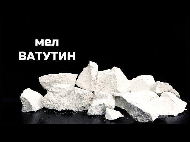 Мел Ватутин | обзор сорта, описание вкуса, хруст