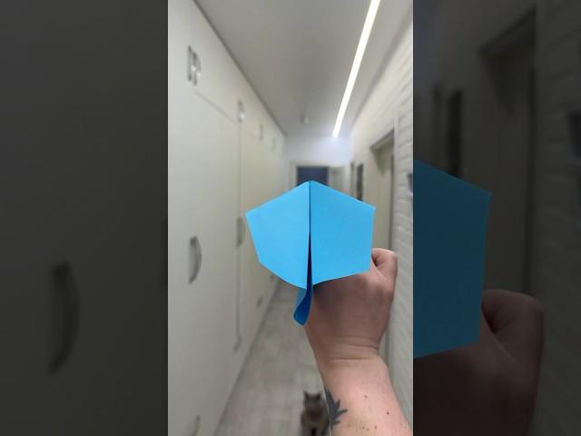 Built a Paper Plane at 2AM… It Flew 301ft. My Sleep Schedule? Gone. #diy #papercrafts #airplane