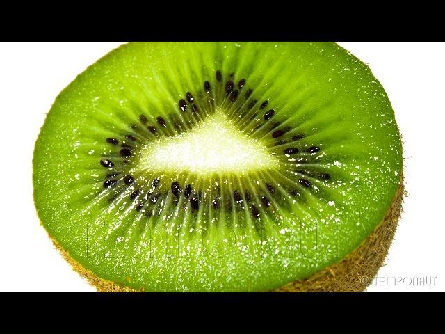 Kiwi Time Lapse