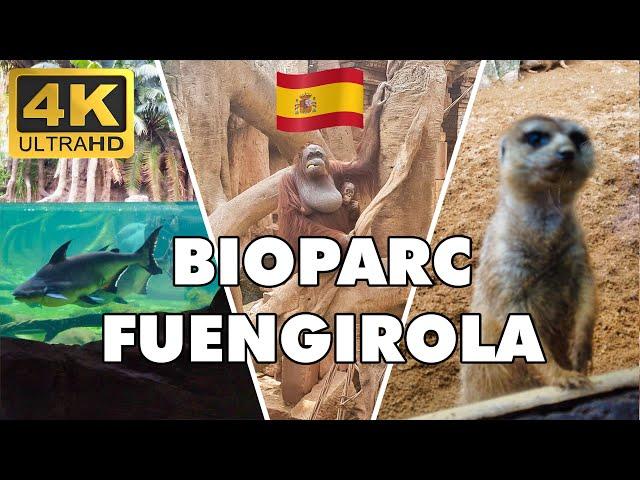 Bioparc Zoo Fuengirola 4k Video ► Costa del Sol Spain ►