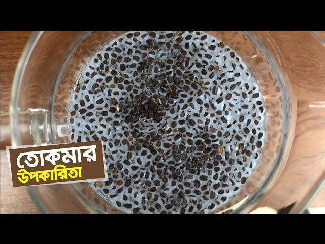 তোকমা খাওয়ার উপকারিতা • তোকমা দানার উপকারিতা ও সতর্কতা