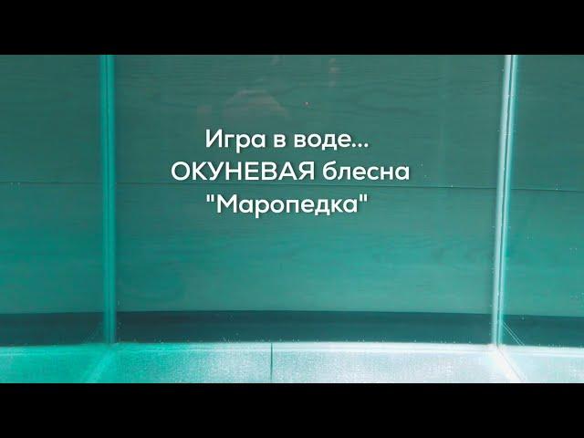 Игра в воде зимней ОКУНЕВОЙ блесны "Маропедка". Блесны CARGO 