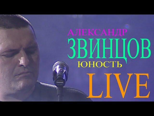 Александр Звинцов - Юность