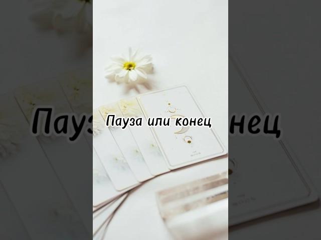 Пауза или конец #tarotube #психология #таро #тарологонлайн #таролог #отношения #tarotreding #tarot