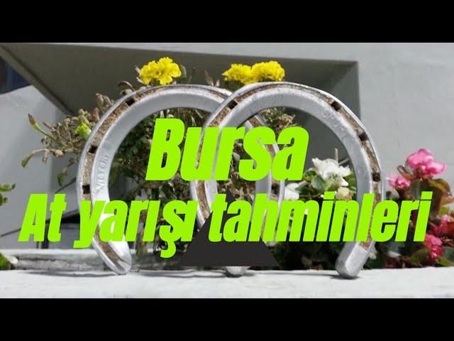 10 Mart 2024 Pazartesi Bursa at yarışı tahminleri , Prens Levent ile beşli ganyan