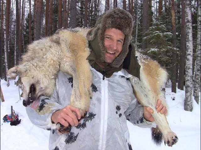 Охота на волков 2019 Winterjagd auf Wolf