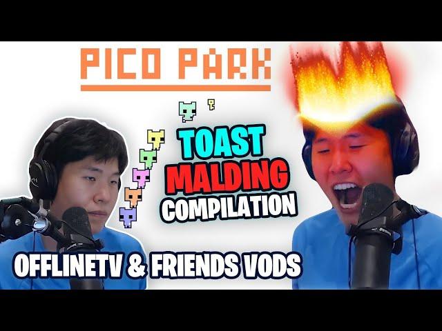 Toast MALDING Compilation &  Funny Fail Attempts  in Pico Park with Offline TV & Friends