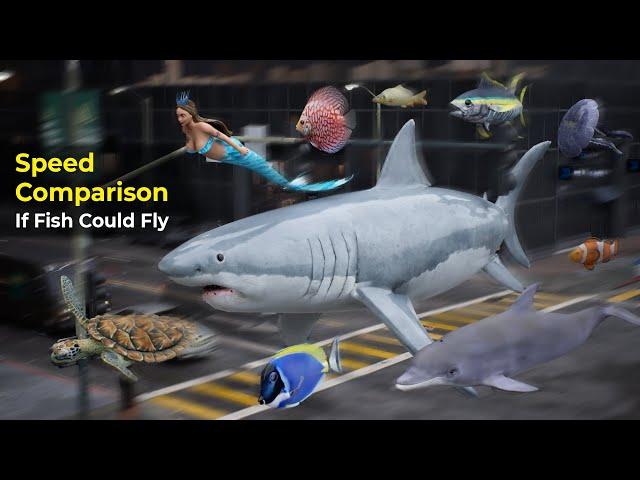 What if Sea Creatures Could fly ? | Fish Speed Comparison