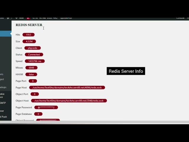 Redis Page Object Cache • Wordpress Plugin
