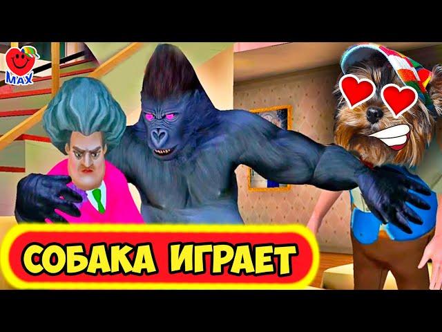 МАКС ВЛЮБИЛСЯ в Мисс ТИ! СОБАКА ИГРАЕТ! ( Обновление Miss T Scary Teacher) #14 Валеришка Макс