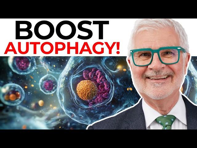 The EASIEST Way to Activate Autophagy in Your Body | Dr. Gundry