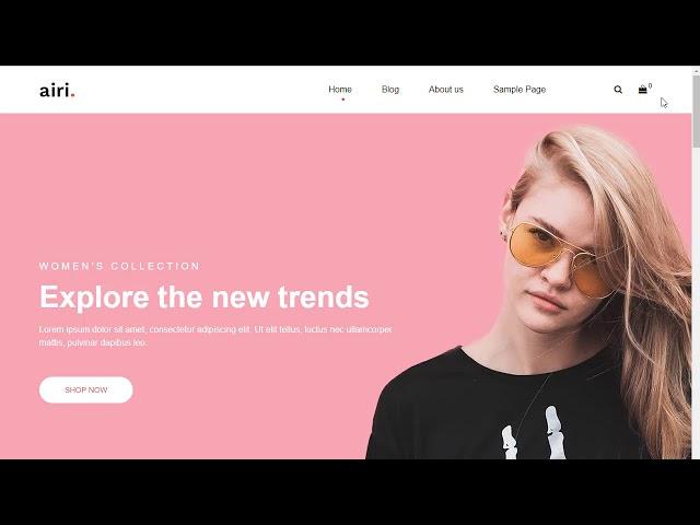 Airi Pro WordPress Theme Demo & Review