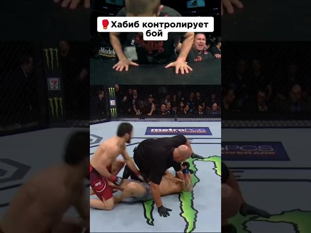 Хабиб с контролировал бой. #habibi #islammakhachev #miketyson #jakepaul #loganpaul #mma #ufc