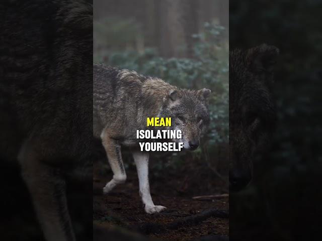 Be prepared to stand on your own #shorts #viral #foryou #youtubeshorts #motivation #trending #wolf