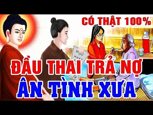 Chuyện Nhân Quả Báo Ứng Có Thật Khiến Hàng Triệu Người Khiếp Sợ Về DUYÊN TIỀN KIẾP ĐẦU THAI TRẢ NỢ