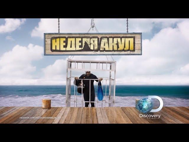 Еще больше о монстрах | Неделя акул | Discovery Channel