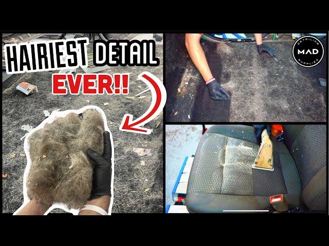 Deep Cleaning The HAIRIEST Vehicle I've Ever Seen! | Insane DISASTER Detail and Pet Hair...